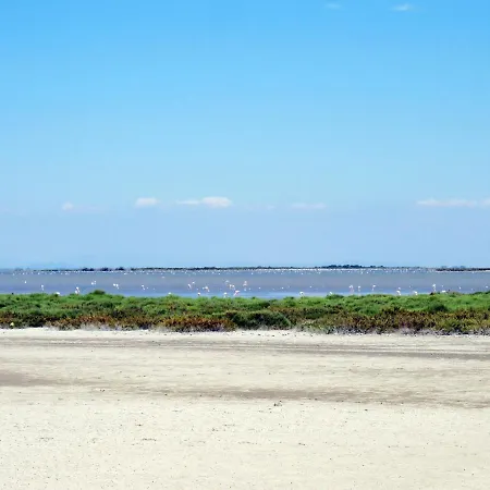 Floralies I-4 By Interhome Apartamento