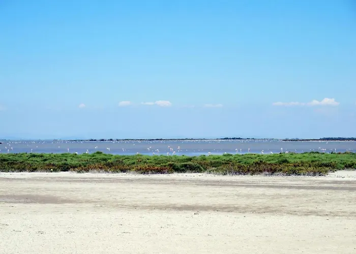 Floralies I-4 By Interhome Apartamento